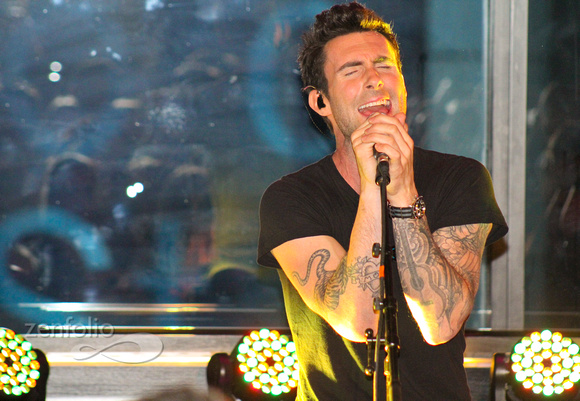 Adam Levine from Maroon 5
